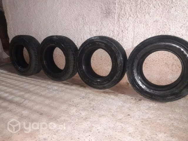 Neumáticos