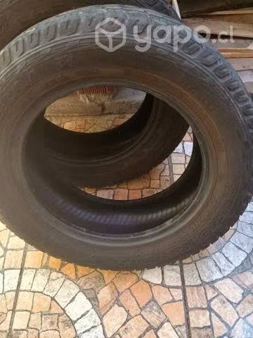 Neumáticos