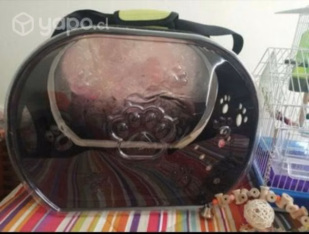 Jaula más accesorios