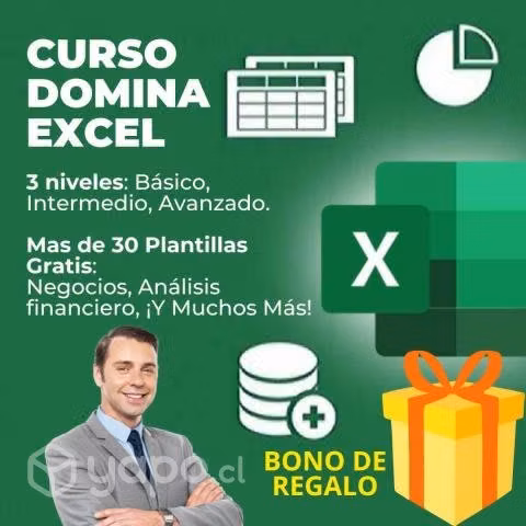 Curso domina excel como un experto