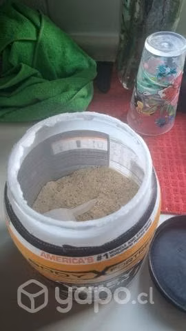 Proteína en Polvo y Creatina Monohidratada