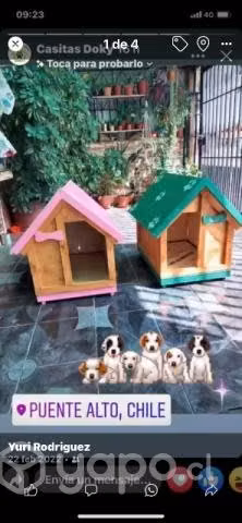 Casa perro mediano