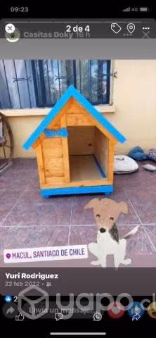 Casa perro mediano