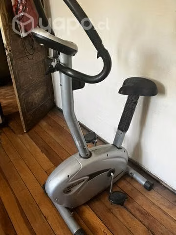 Bicicleta proteus