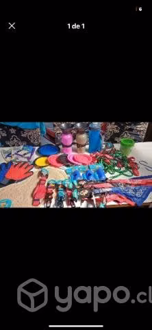 Lote accesorios mascotas