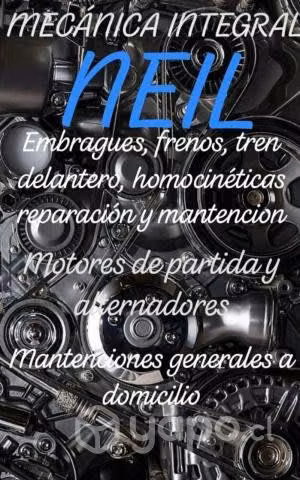 Mecanica integral .neil