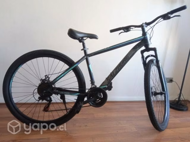Bicicleta salzbuag