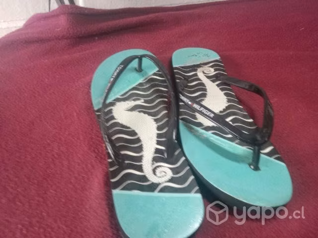 Hawaianas Tommy Hilfiger