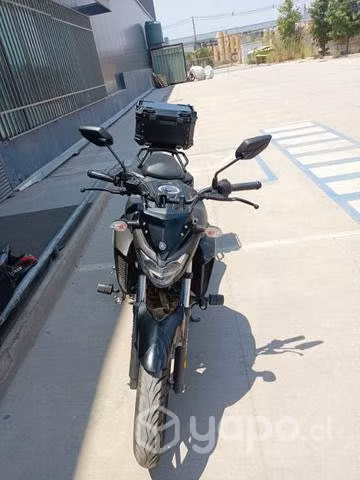 Fz 250 al dia