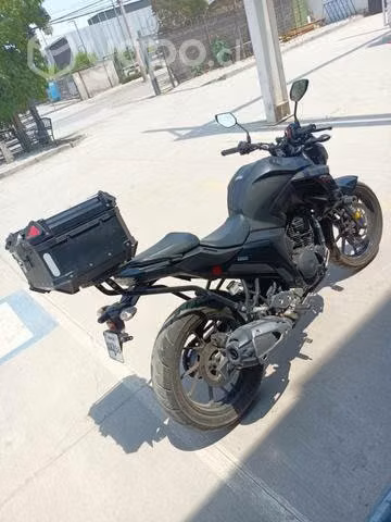 Fz 250 al dia