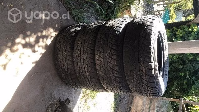 neumáticos dunlop - Imagen 3