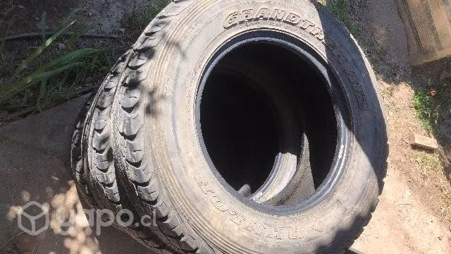 neumáticos dunlop