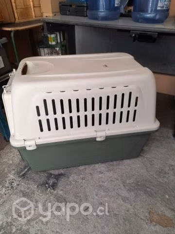 Caja transportadora
