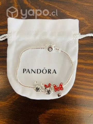 Linda pulsera Pandora