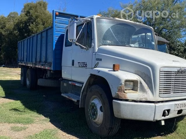 Vendo camión freightliner