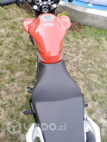 Honda twister