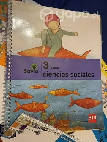Libros proyecto sm 3 basico