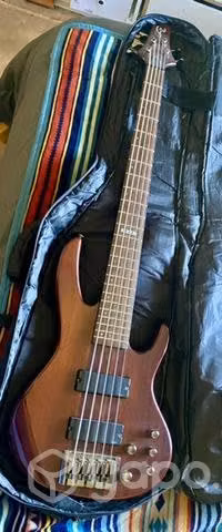 Bajo eléctrico LTD B-205SM 5 cuerdas