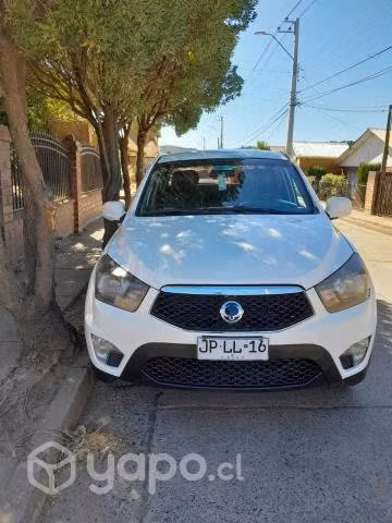 Ssangyong a.sports 2017