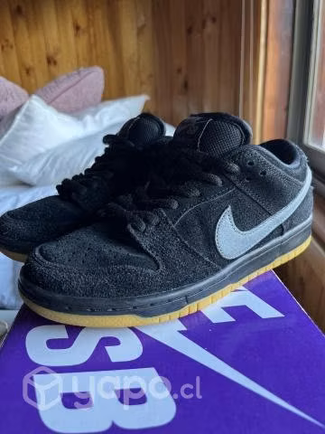 Nike dunk low SB