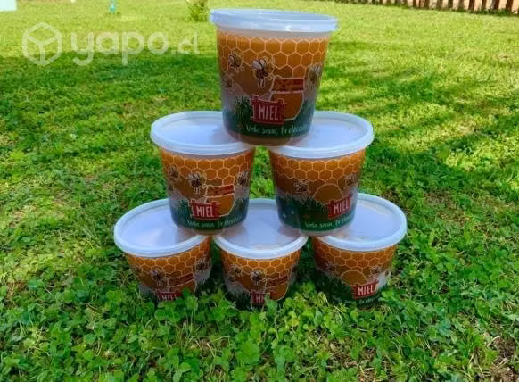 Miel de Quillay