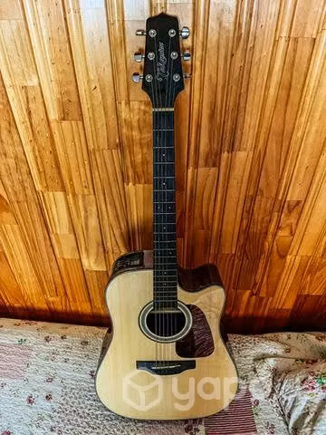 Guitarra Takamine