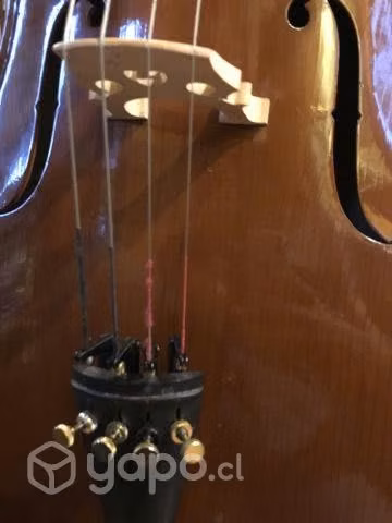 Cello 4/4 - Imagen 2
