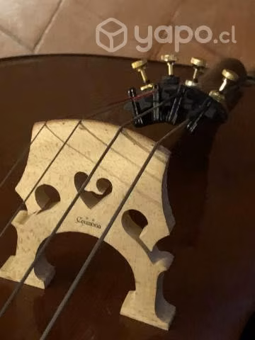Cello 4/4 - Imagen 3