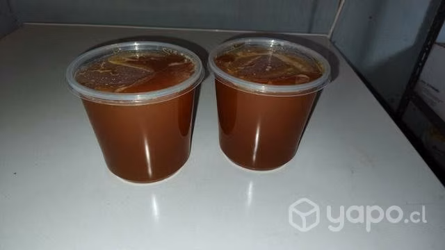 Miel viva sin aditivos pura avejas - Imagen 2