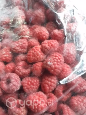 frambuesas congeladas
