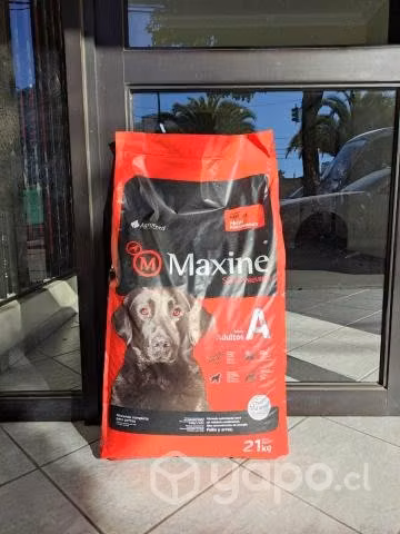 Oferta en Alimento para Perro Maxine Adulto 21kg