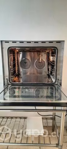 Horno convector
