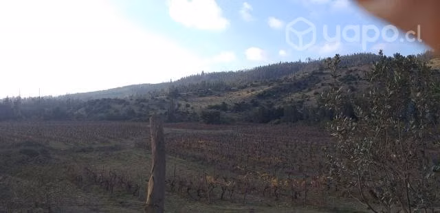 Parcela Los Sauces Hualañe, Maule