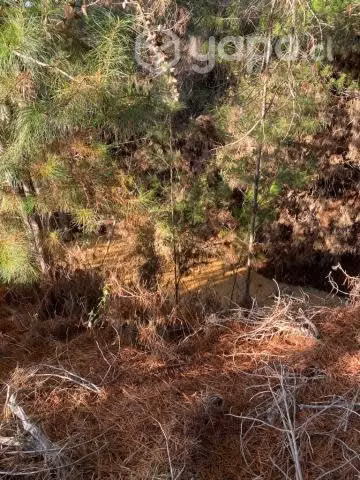 Vendo Parcela en Aguada de Bucalemú, Paredones