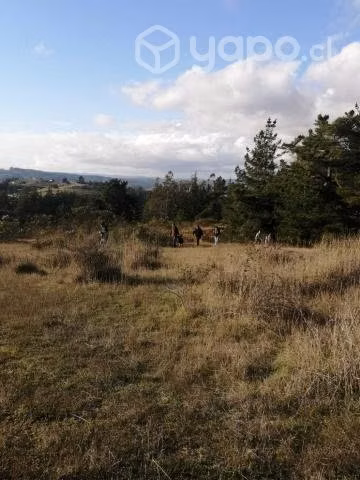 Vendo Parcela en Aguada de Bucalemú, Paredones