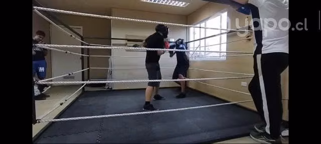 Clases de Boxeo