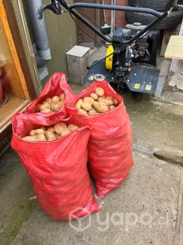 Papas regionales