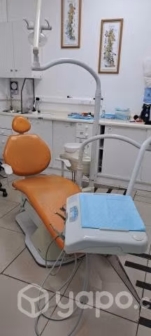 Sillón dental.Gnatus