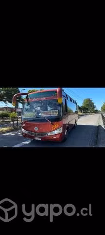 Taxibus yutong