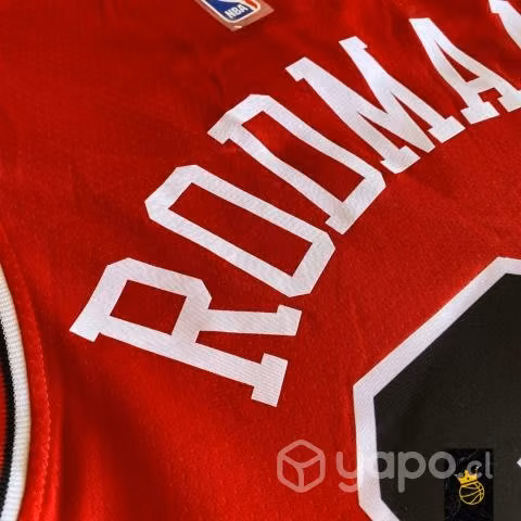 Camiseta Chicago Bulls Dennis Rodman NBA