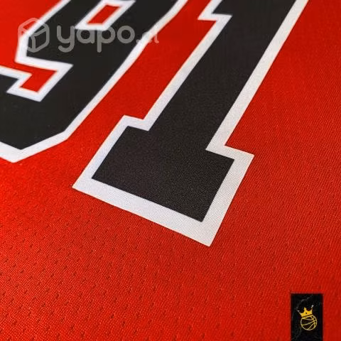 Camiseta Chicago Bulls Dennis Rodman NBA