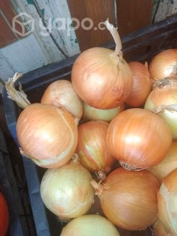 Verduras y Frutas a tu puerta