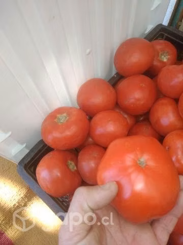 Verduras y Frutas a tu puerta