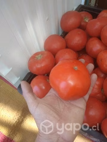 Verduras y Frutas a tu puerta