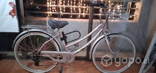 Bicicleta de paseo