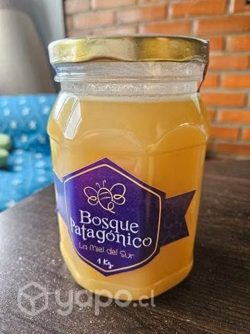 Miel de ULMO Bosque Patagónico