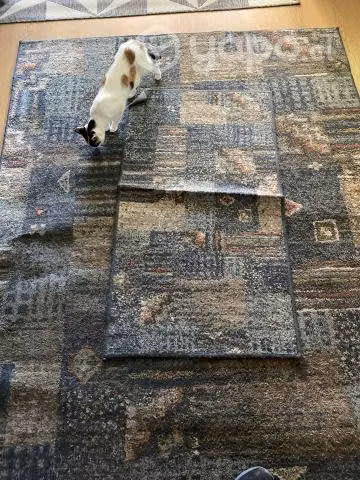 Alfombra con bajada de cama - Imagen 2