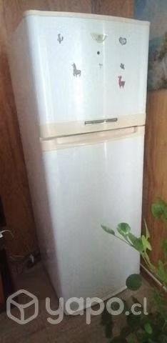 Telesisor y refrigerador