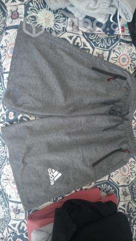 Se venden - Imagen 3