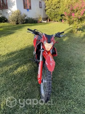 Motorrad XMM 250